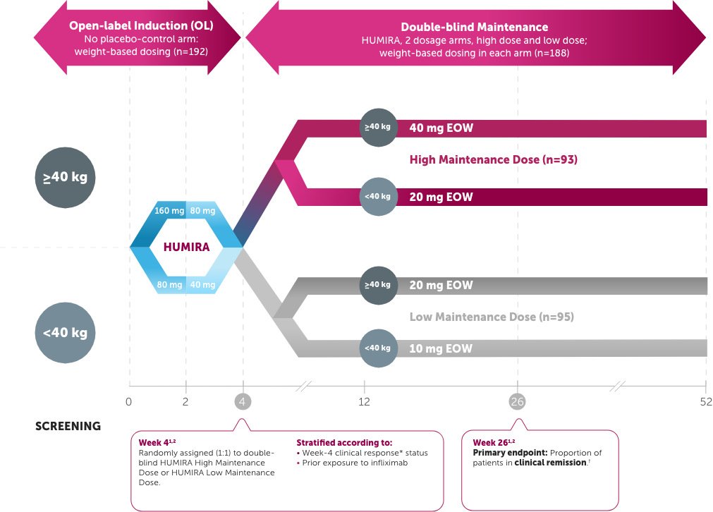 Diagram of IMAGINE 1 study design.